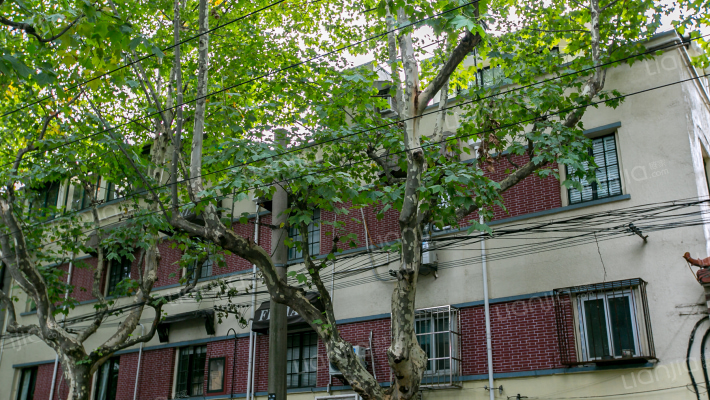 长乐路637弄外景图