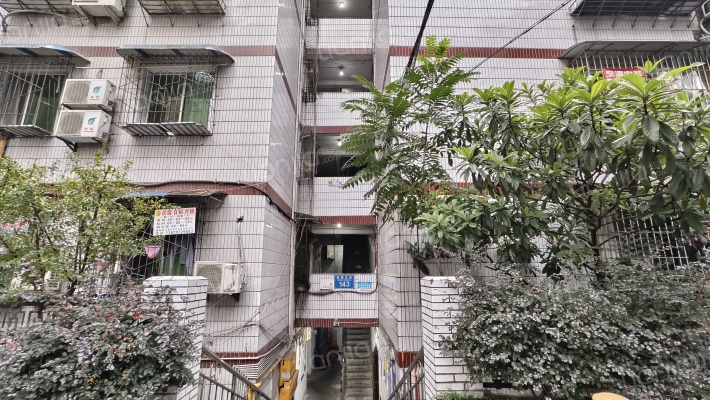 新桥正街外景图