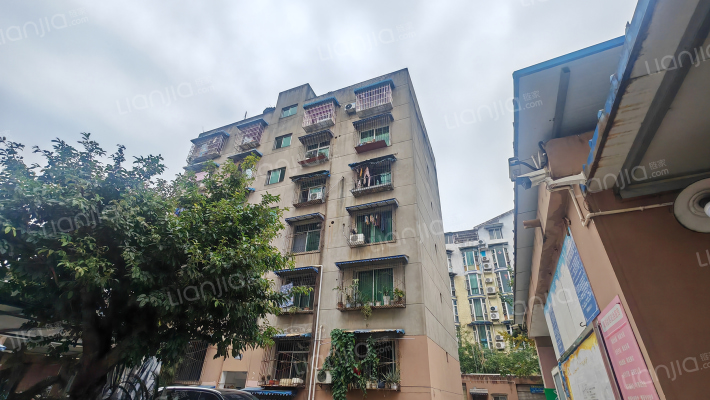 青年路43号外景图