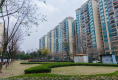恒大绿洲户型图实景图