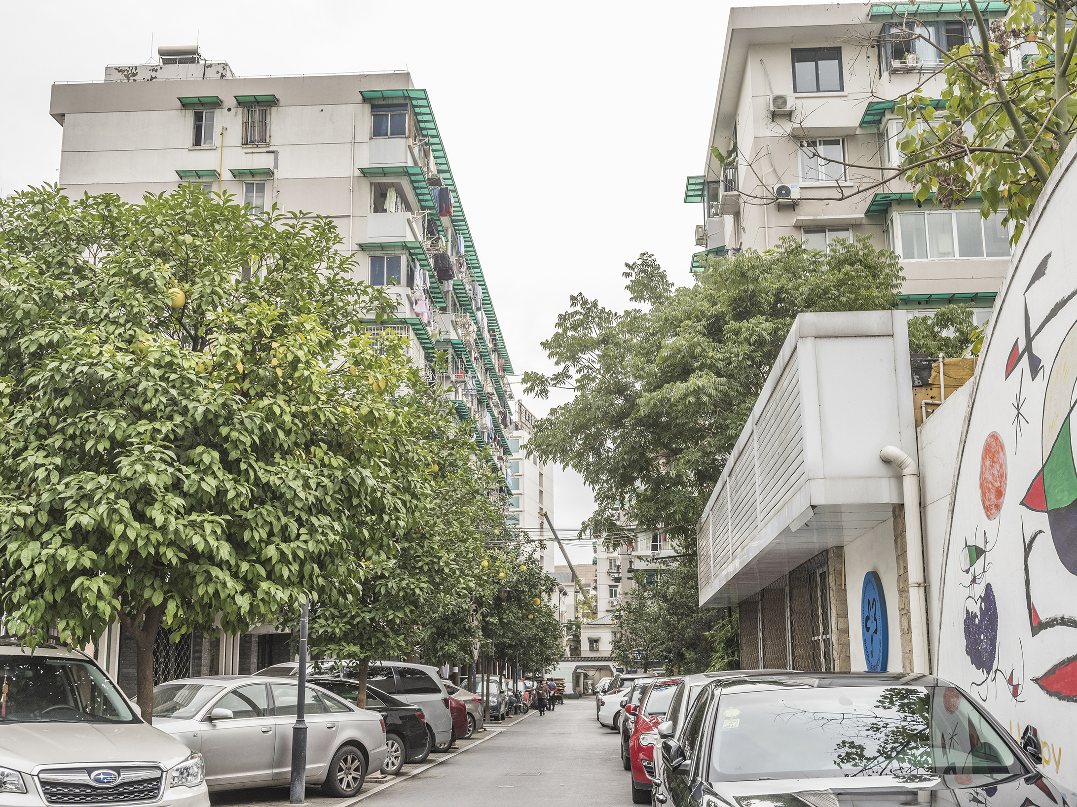 Dengxin Alley  compound photo 5
