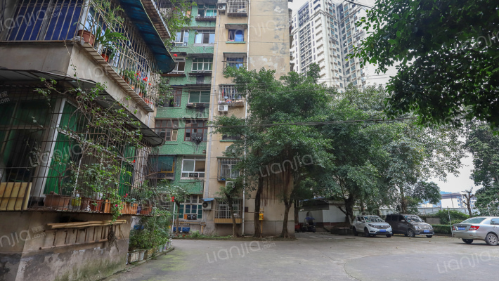 西山坪家属院外景图