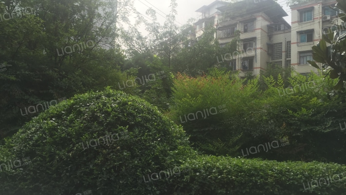 交大广厦小区外景图