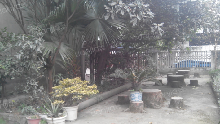 兴业街33号外景图