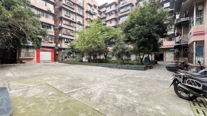 柏华教师楼外景图