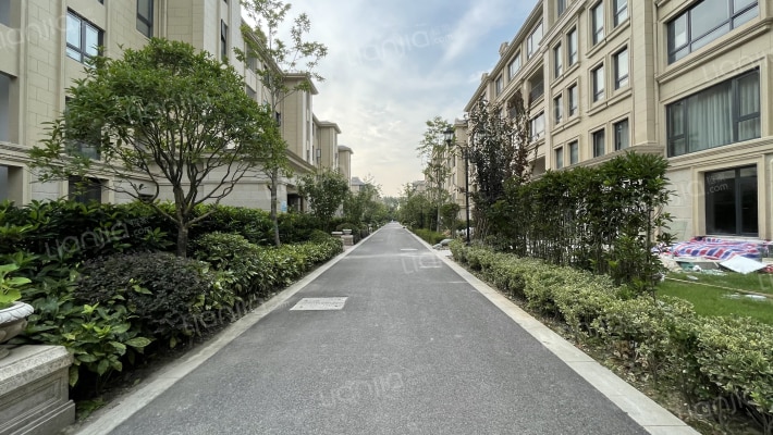 尚湖玫瑰园外景图