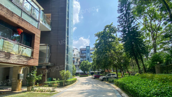 森林一号外景图