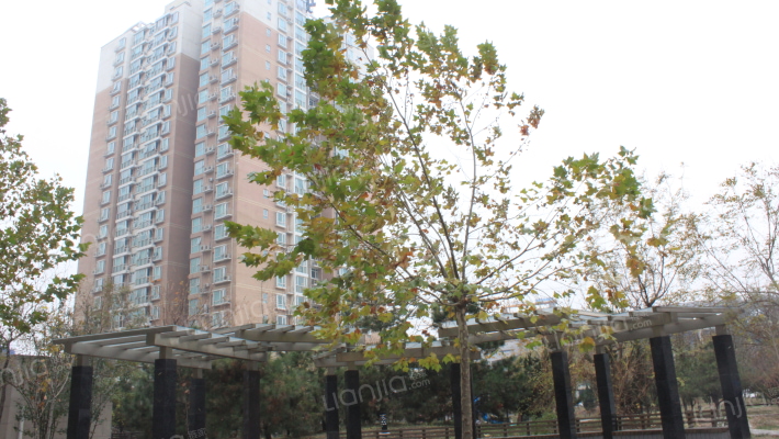 方舟苑三期外景图