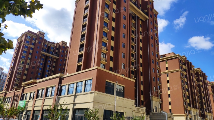 丰金新贵都外景图