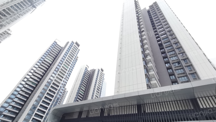 隆生金山湖中心花园外景图