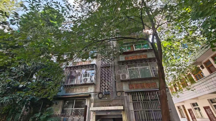 老防疫站家属院外景图