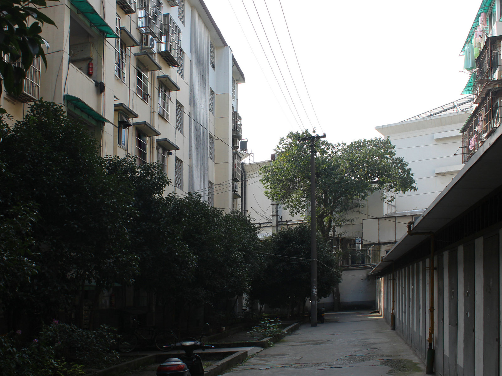 日辉新村小区实景 15