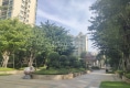 恒大御景湾户型图实景图