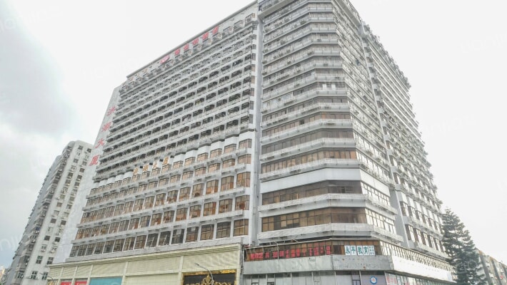 洪湖大厦外景图