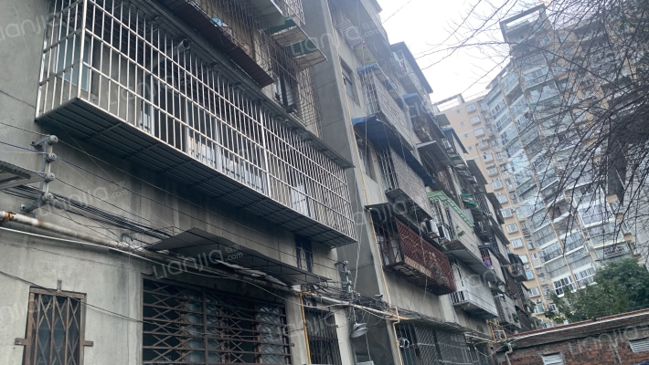 东大街365号外景图