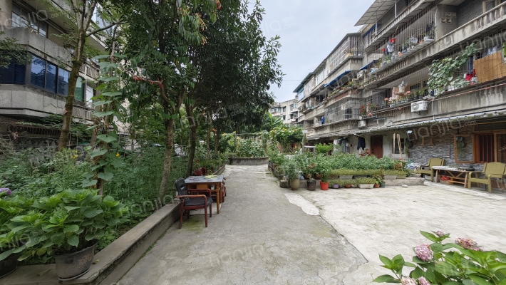 来凤路54号外景图