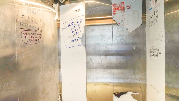 新娄花园外景图