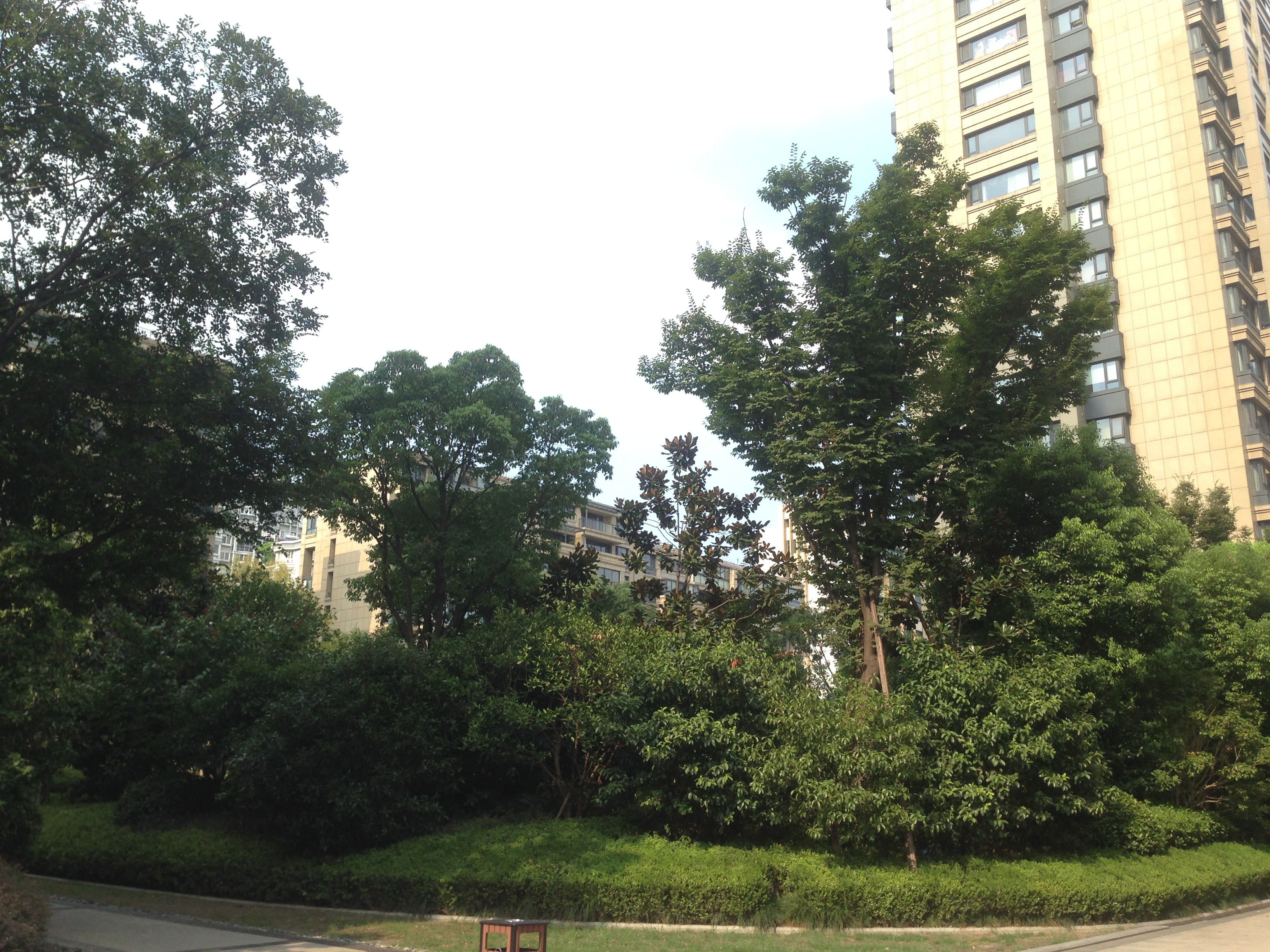 Yuxihu compound photo 20
