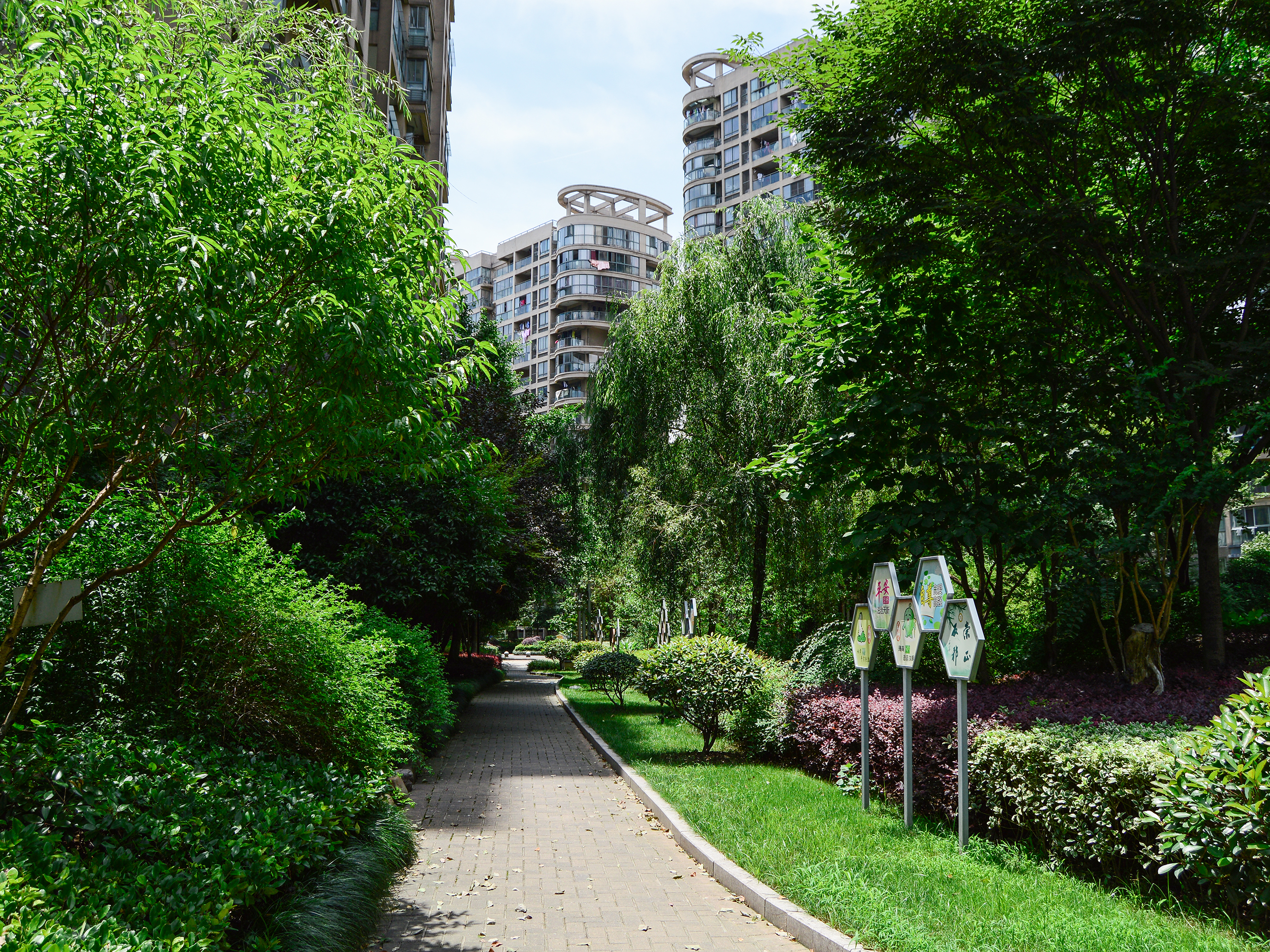 红街公寓小区实景 13