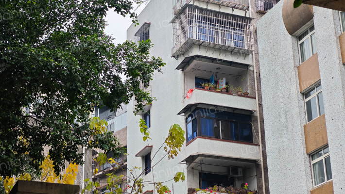 国本路220号外景图