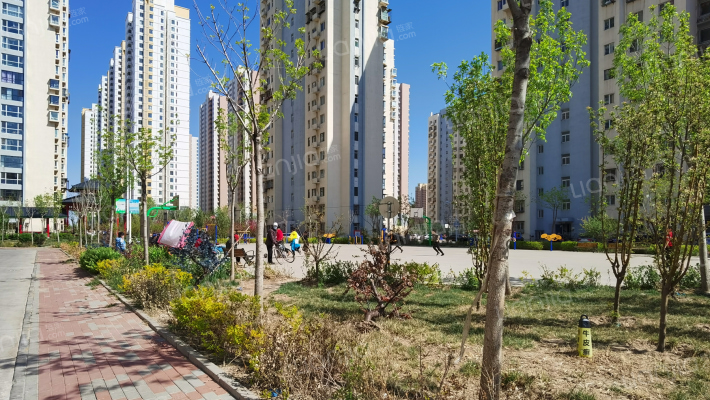 朝阳花园二期外景图