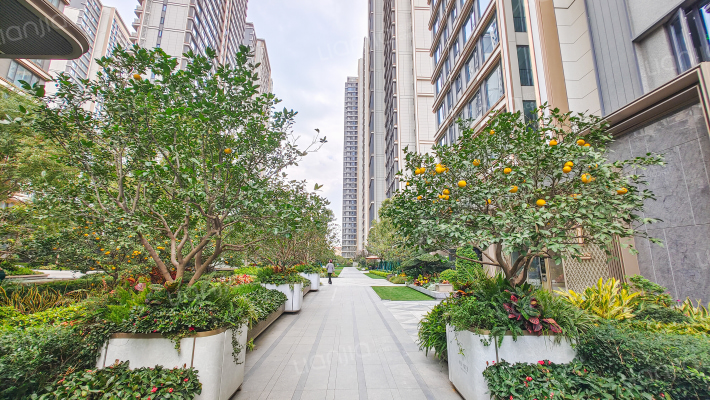 中海峯汇里外景图