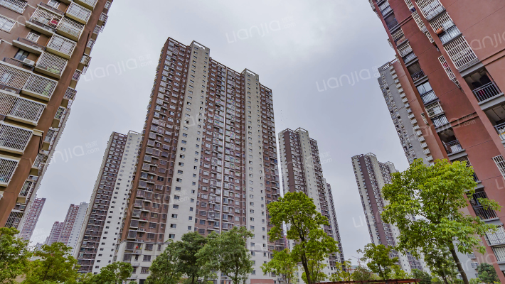 滨湖顺园北区外景图