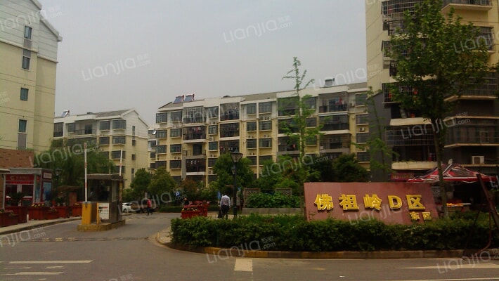 佛祖岭社区D区外景图