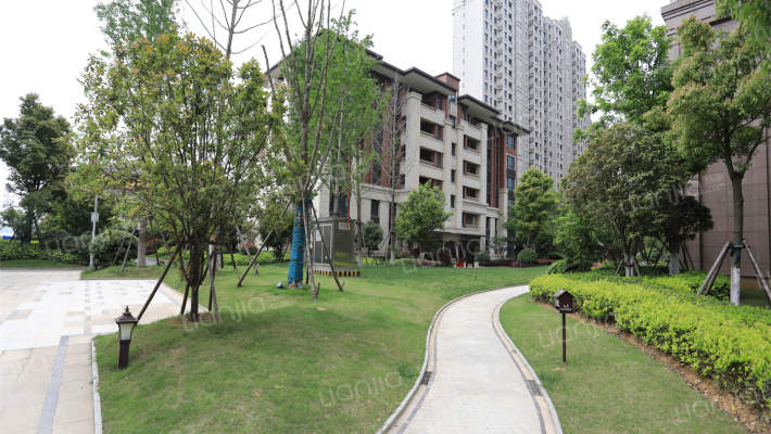 南湖九号外景图