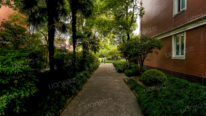 虹林新苑外景图