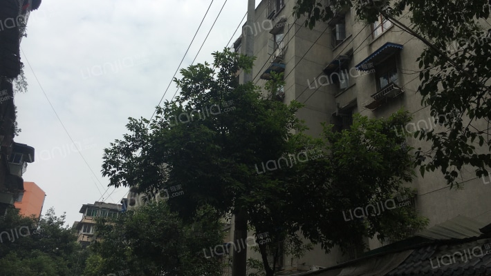 文家东巷18号 外景图