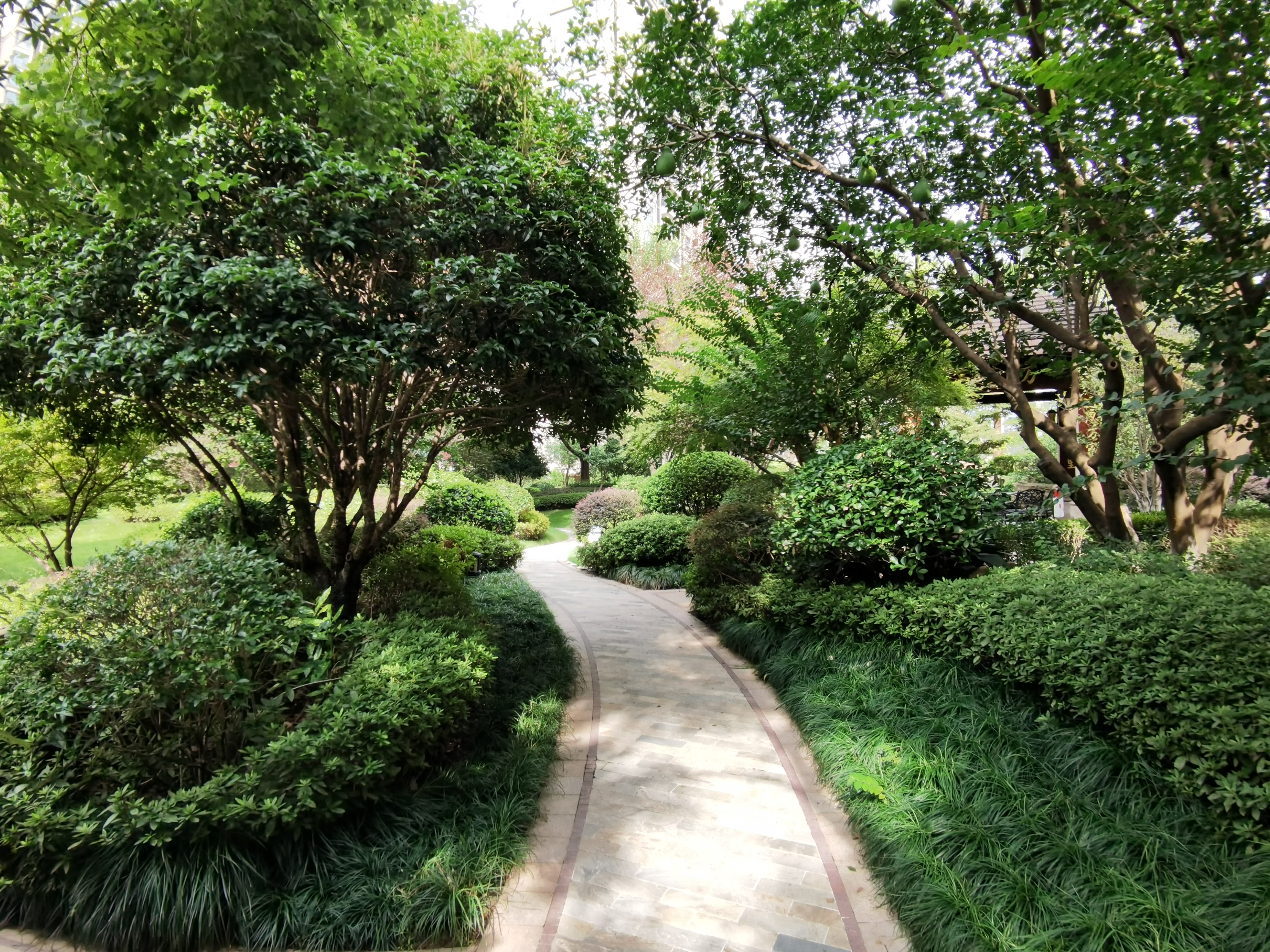 Wanjia Mingcheng compound photo 7
