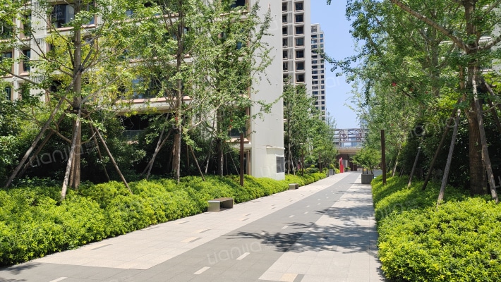 伟鹏硅谷小镇外景图