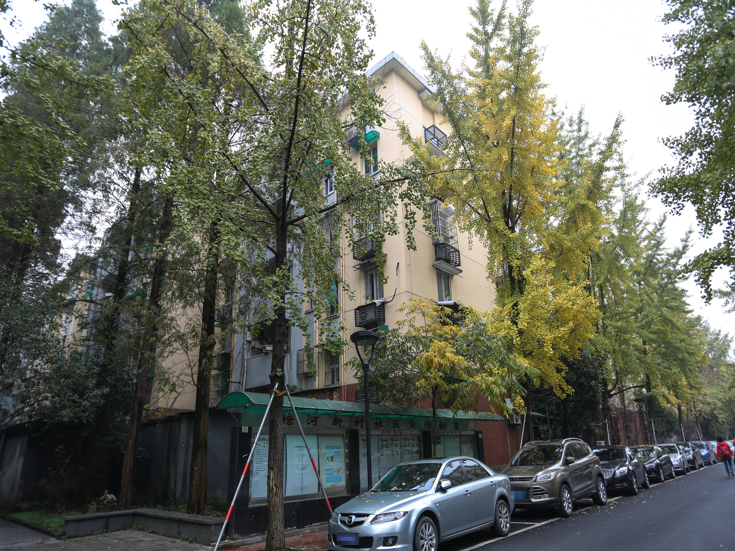 Tanghe Xincun compound photo 10