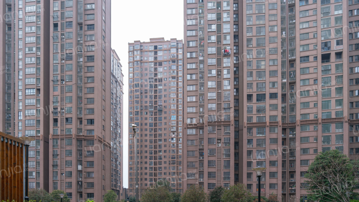 高林仕家外景图