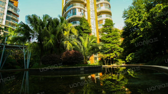 锦绣森邻外景图