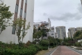 荷塘月色户型图实景图