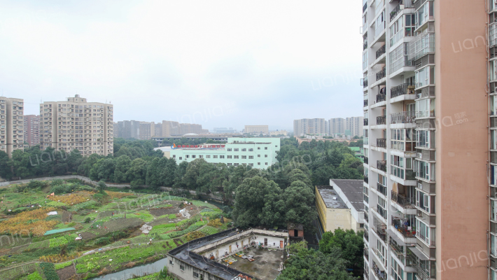 成外雅庭外景图