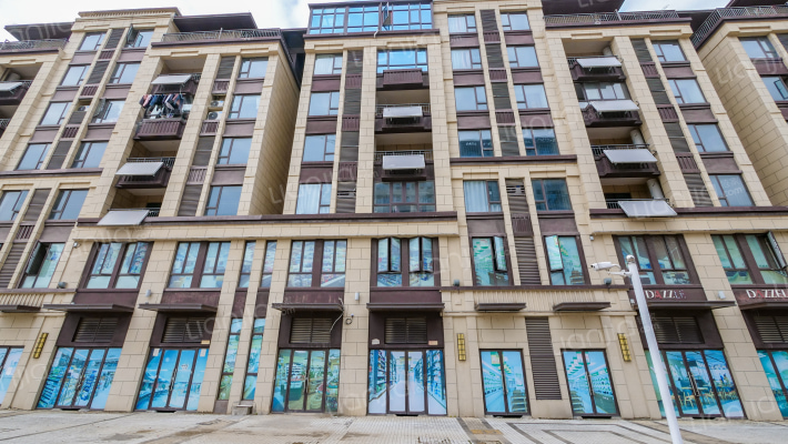 蓝光观澜府外景图