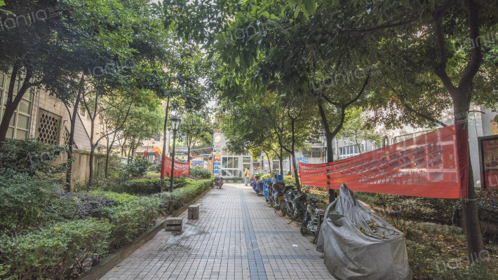 石小路183号外景图