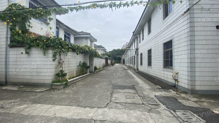 湖苑新村五区外景图