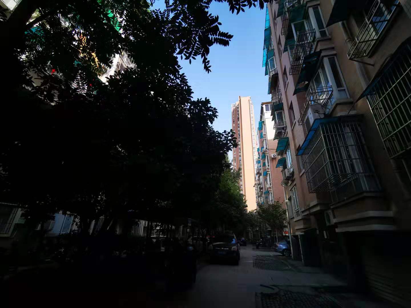 金城花园小区实景 9