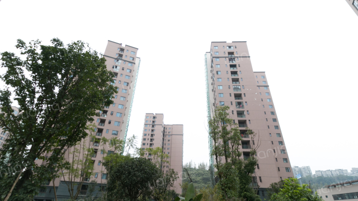 恋湖学郡外景图