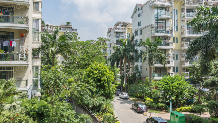 香江明珠外景图