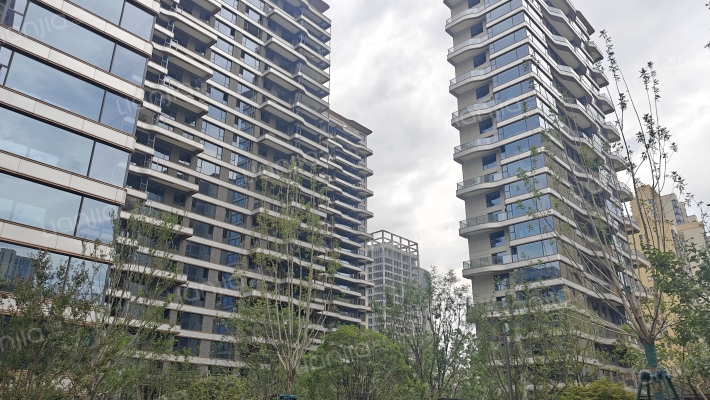 龙湖星河云河颂外景图