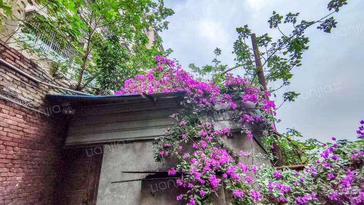 袁家岗2号外景图