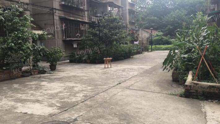 大石西路62号外景图