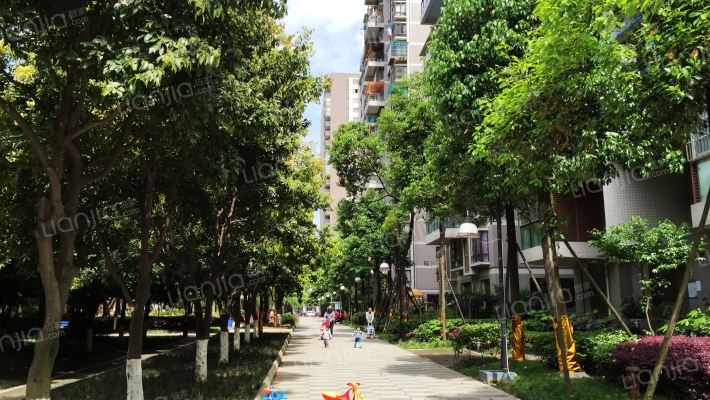 万树森林二期外景图