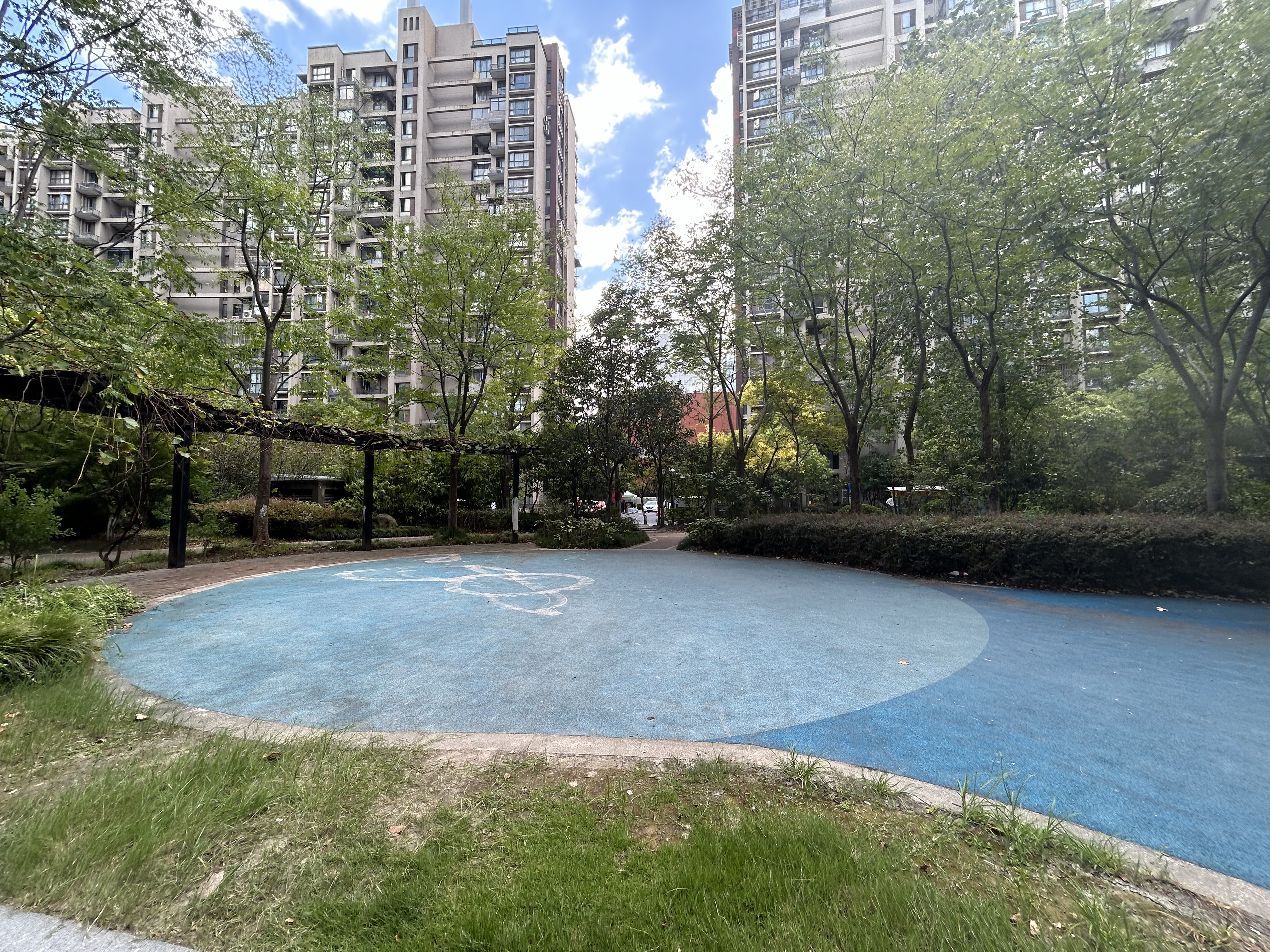  江畔云庐小区实景 9