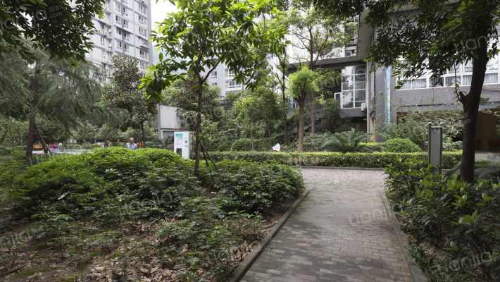 临江佳园外景图